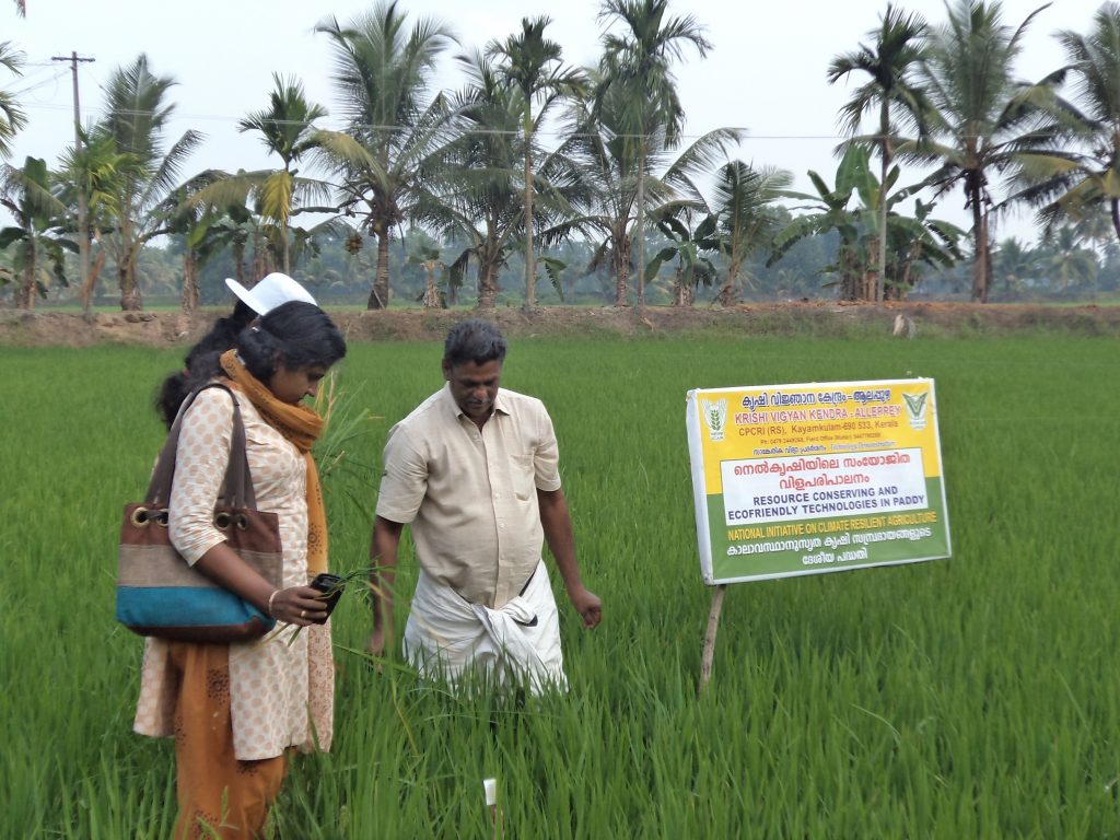 Promoting Eco-Friendly Technologies In Rice Production In Kuttanad ...