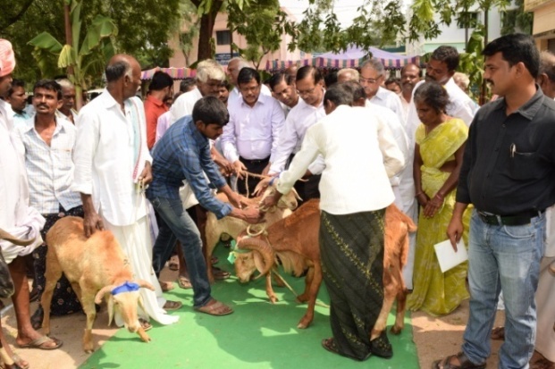 Veterinary University in the Service of Livestock Owners – Sri Venkateswara  Veterinary University shows the way | | Welcome to AESA