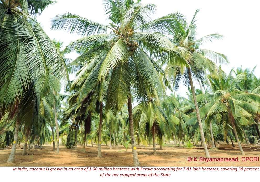 Blog 156 How to Not Promote Farmer Producer Organisations Learning