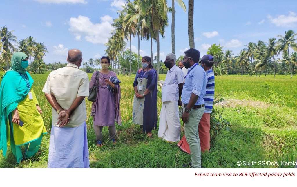 Blog 158Streamlining Public Agricultural Extension in India