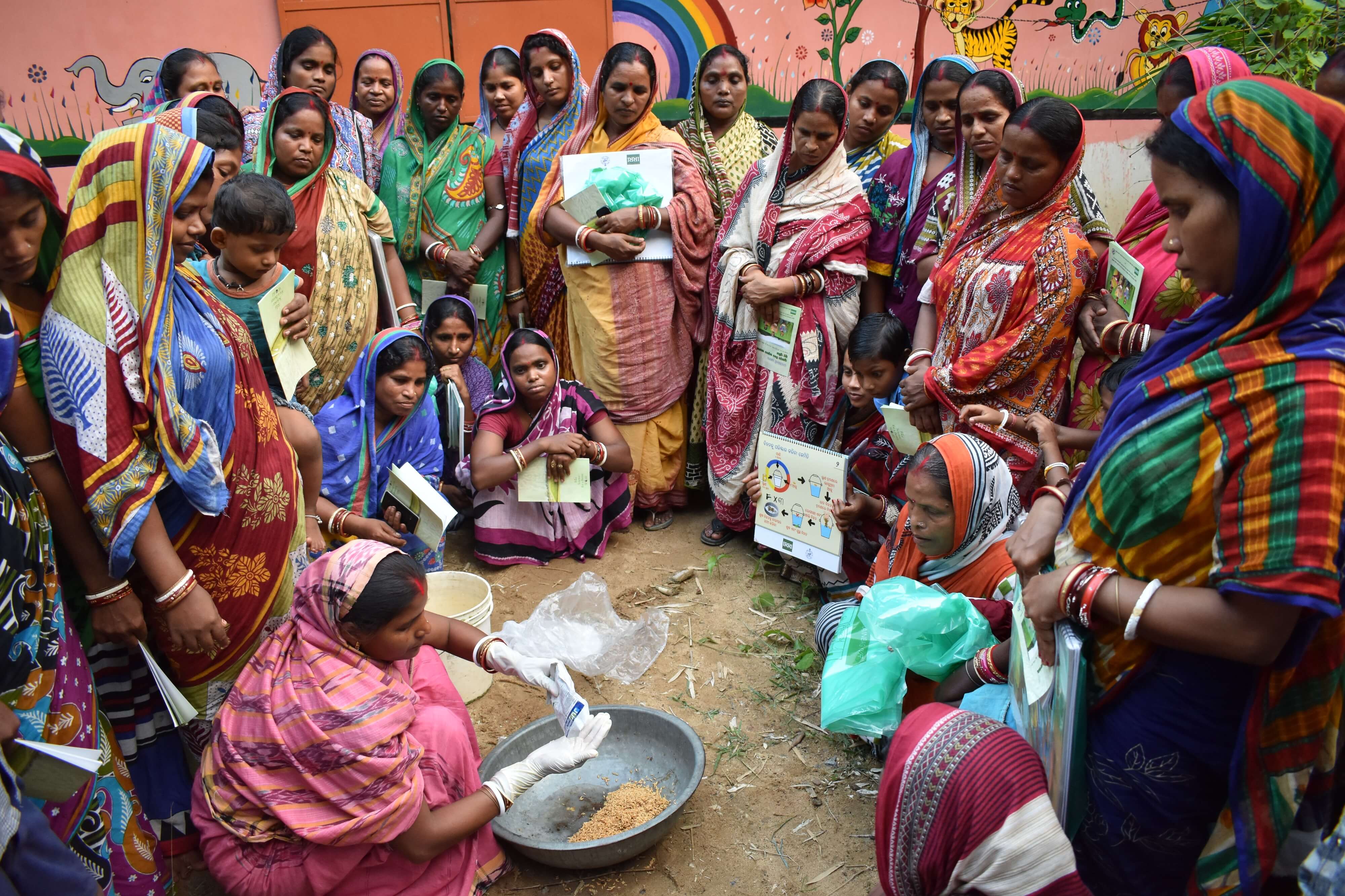 IRRI is capacitating women at Balasore, Odisha on quality rice seed production