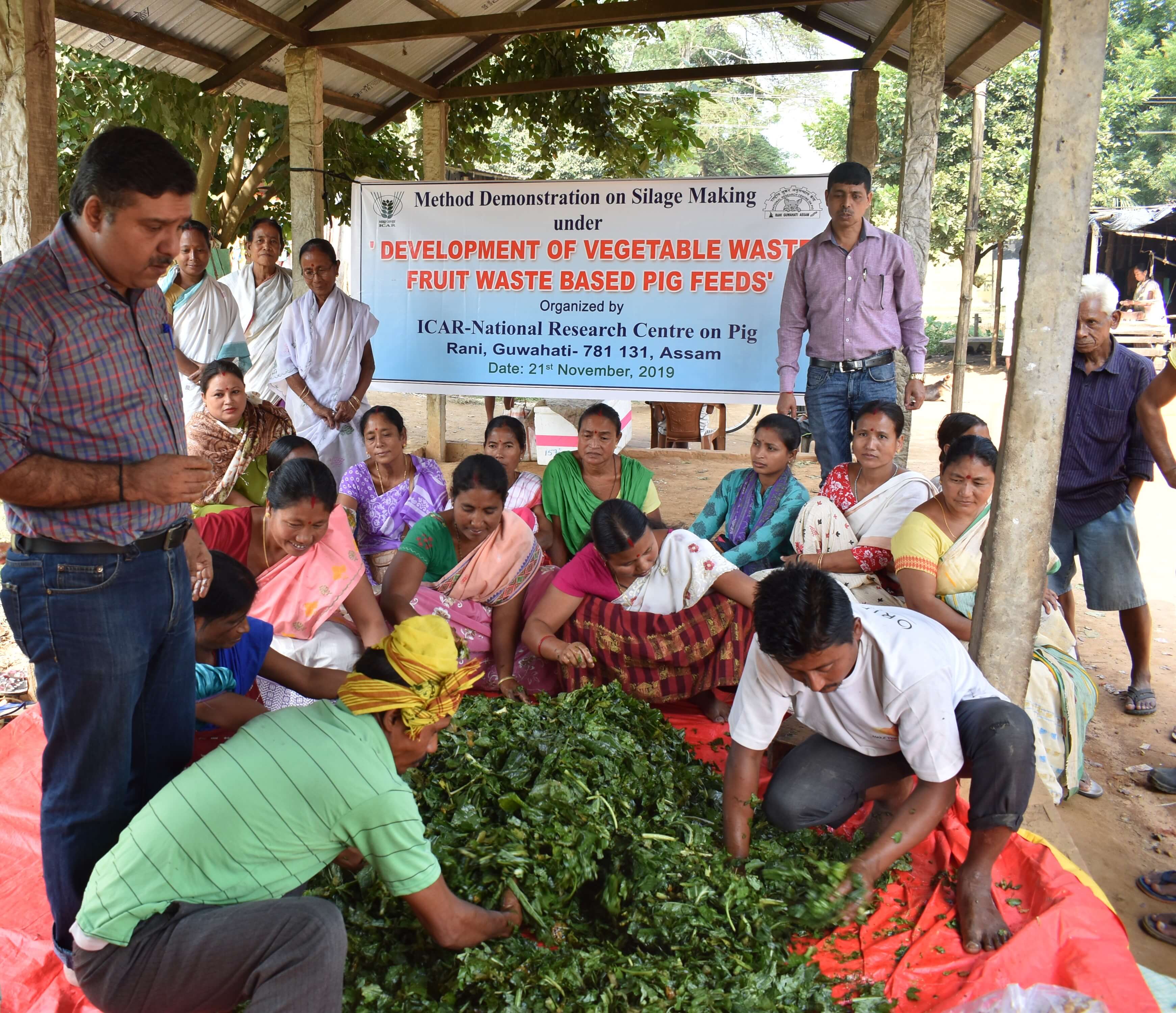 Demonstration of silage making with vegetable waste by Scientists of ICAR-NRC on Pig to tribal farmers of Sajjanpara village (2)
