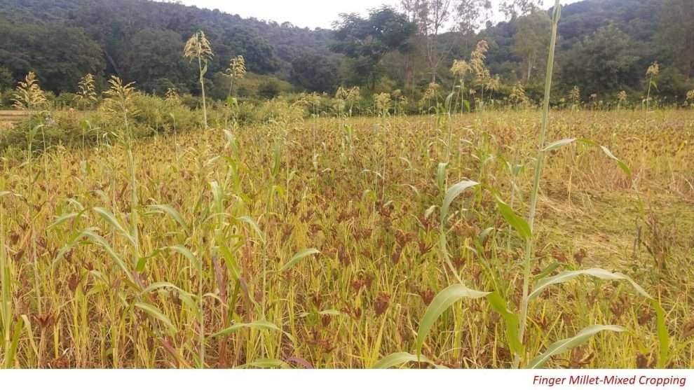 GOOD PRACTICES 55From Farm to Market Pragati’s Journey with Finger