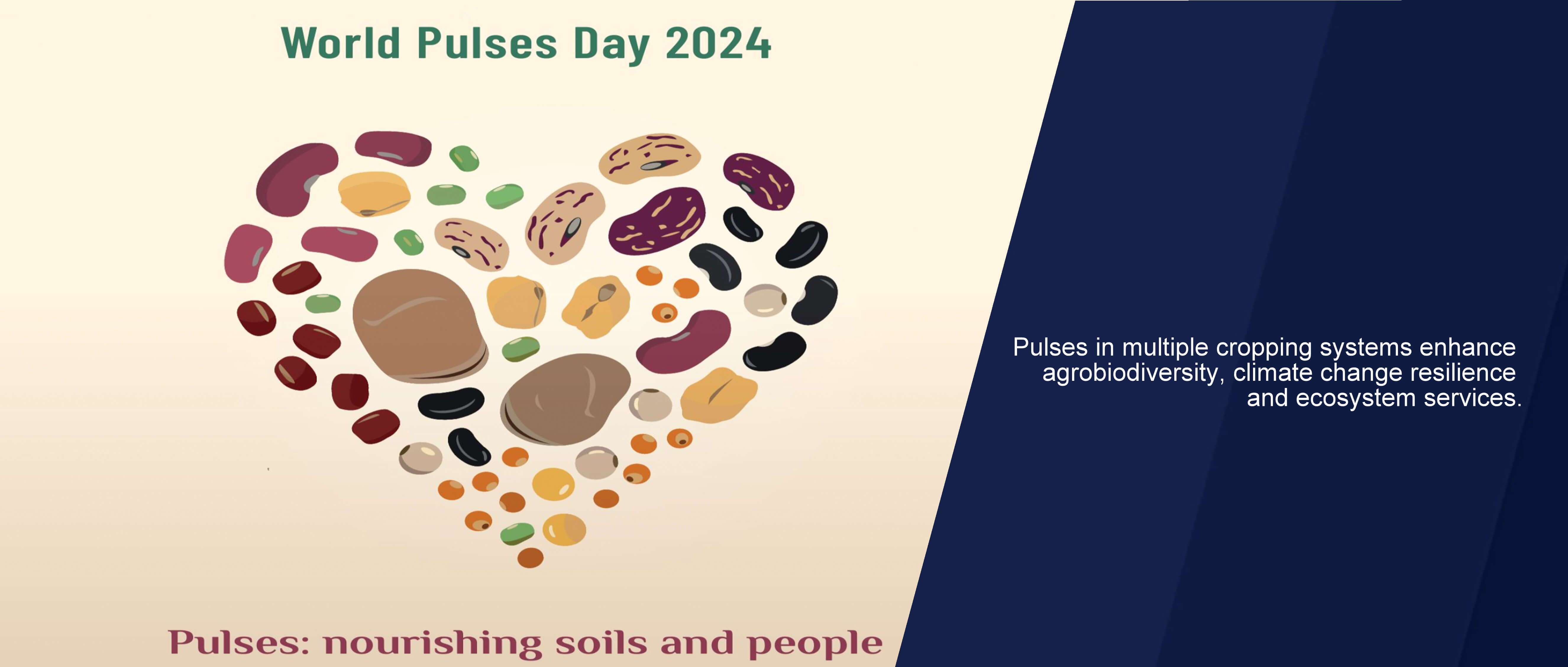 world Pluse day 2024